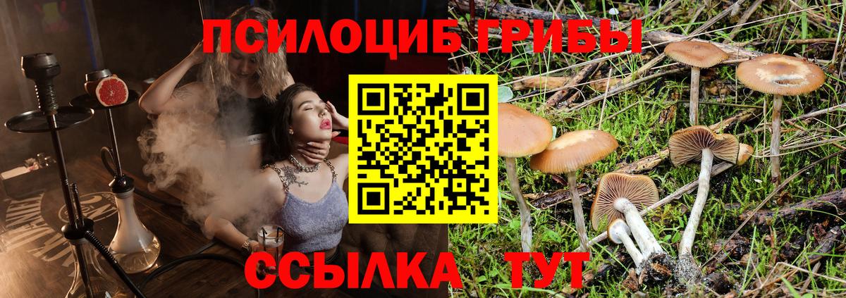 Псилоцибиновые грибы прущие грибы Муром
