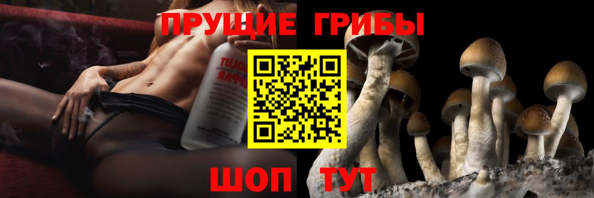 Муром  Галлюциногенные грибы ЛСД  Вход с VPN 